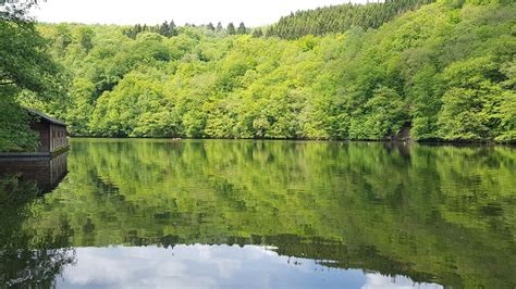 De 5 mooiste wandelroutes rond Houffalize 